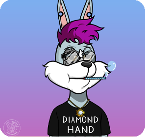 HODL BUNNY - CFO